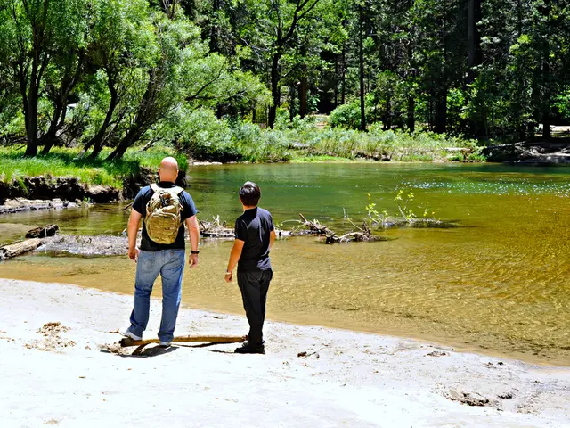 Predicted Cryptocurrency Trio for 2025: Analysts Endorse Ethereum, Ripple, and a Promising Token as...