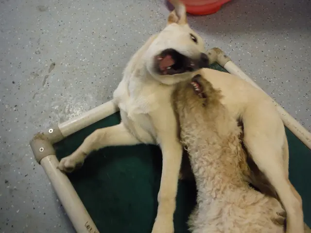 Dogecoin's Open Interest surpasses $3.41 billion during a swift hourly fluctuation.