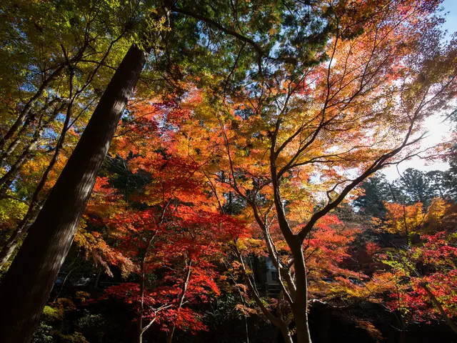 Game director aims to alleviate CPU strain in Monster Hunter Wilds, yet cautious about potential...