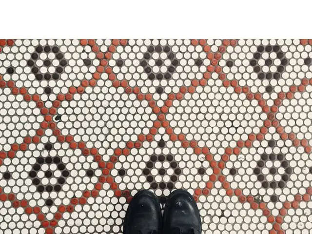 Revamped Vomero Plus from Nike Boasts Taller Stack Height and Enhanced Energy Return in Cushioning...