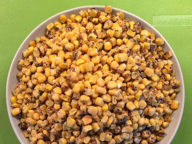 Researchers at the University of Texas at El Paso boost tripled microalgae biofuel production by...