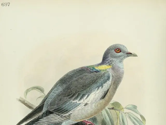 Valve addresses PayPal restrictions on Steam: key details explained