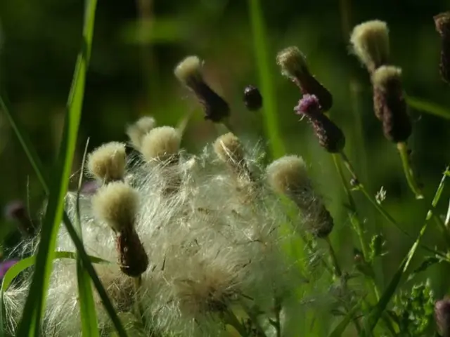 Delivers Results or Yields Outcome