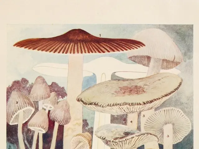 "Translation - What is Bio for me?"