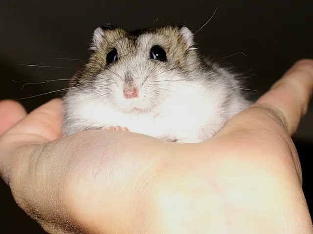 Left-Handed Model of Logitech MX Master 3S 3D-Printed to Address Asymmetrical Button Layout...