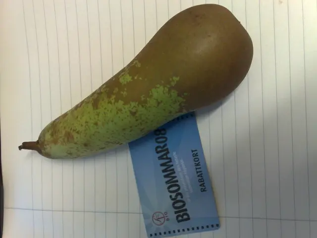 Extortionists Began Harassing Students for Their "Gosluga" Access Codes