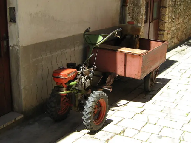 Unconventional Transport Vehicles: Emerging Two-headed Trucks Designed for Road Cleansing