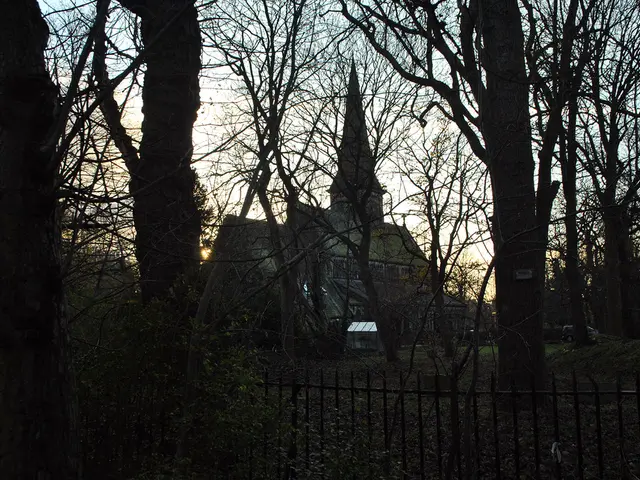 Unmasking the Essentials of Simple Interest: Perks, Mathematical Formula, and Illustrative...