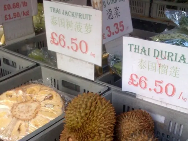 Predicted Price Increase and Recommended Meme Coin Investment for Shiba Inu (SHIB) in 2025,...