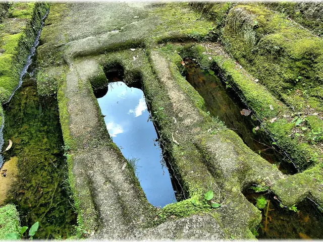 Harnessing Africa's Green Hydrogen Capability for Worldwide Renewable Energy Evolution