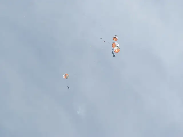 There are four parachutes flying in the sky.