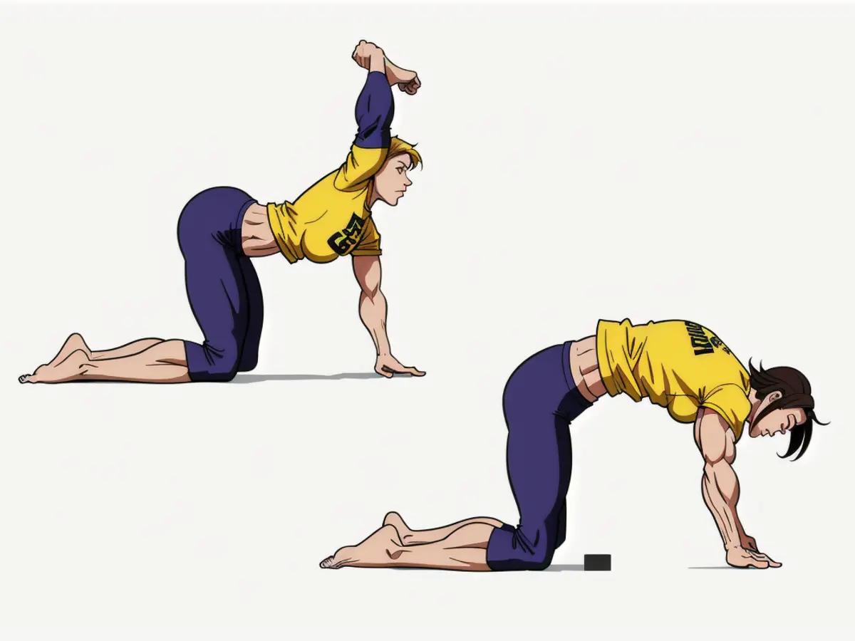 Individual Engaging in Yoga pose Sequence Involving Body Stretches and Cat-Cow Poses, Executed in Two Distinct Steps. Individual Engages in Cat-Cow Body Stretch Exercise in Two-Part Process, with Feline Companion beside Her.