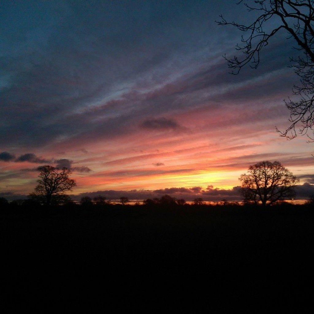 Discover the latest buzz in the cryptocurrency world, focusing on prominent coins such as Venice,...