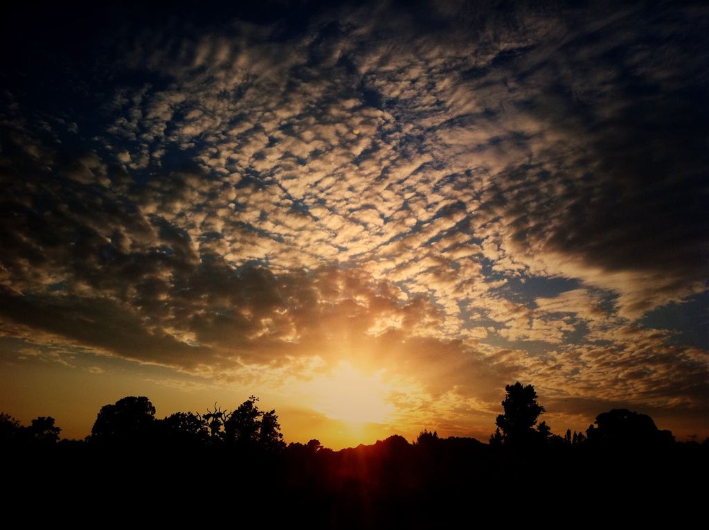 Unveil the impact of digital figures in shaping both personal and professional digital...