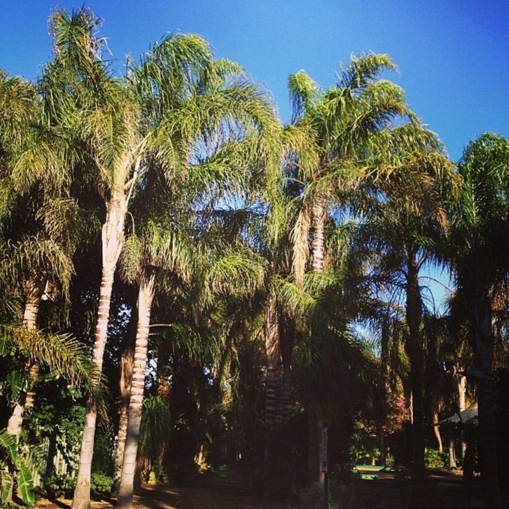 Live Performance Tool: Drop Lets You Automate Snapshots for Seamless Transitions and Intense...