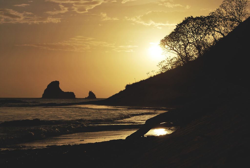 Elon Musk, the company's CEO, received accolades following a heated exchange with the president,...